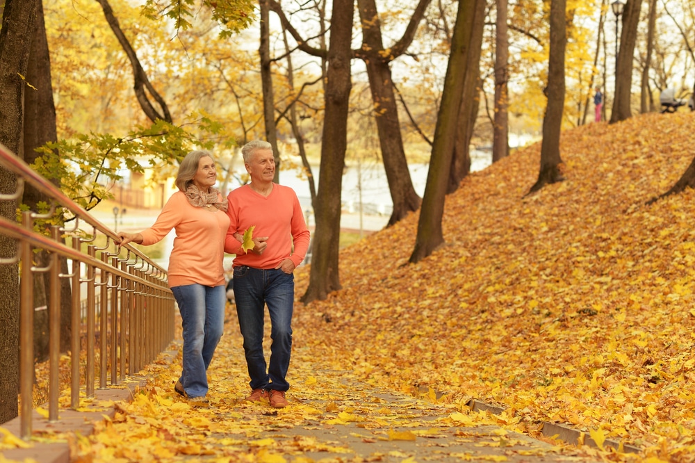 Virginia Fall Foliage