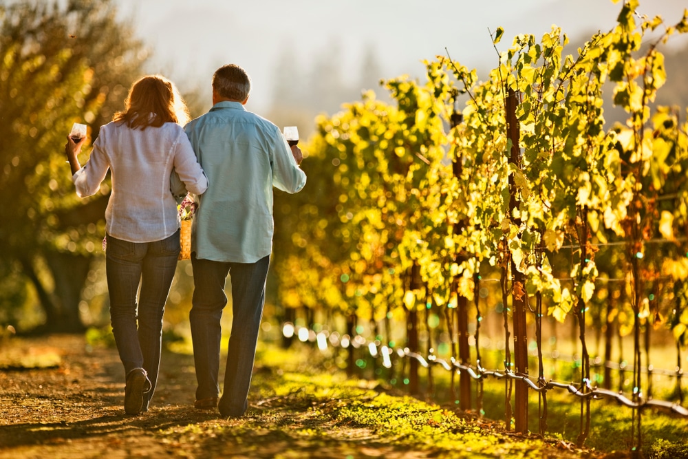 Explore Wine Country in Virginia near our Bed and Breakfast 4 Explore Wine Country in Virginia near our Bed and Breakfast