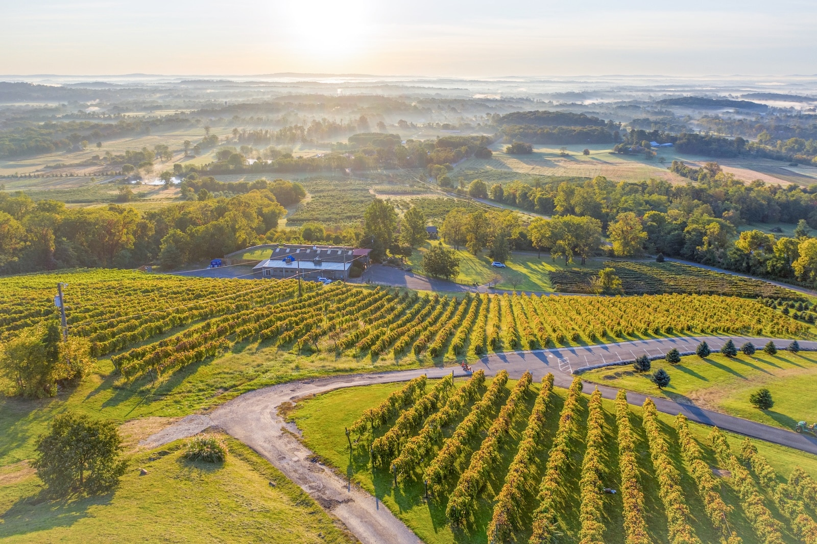Aerial view of Virginia wine country 