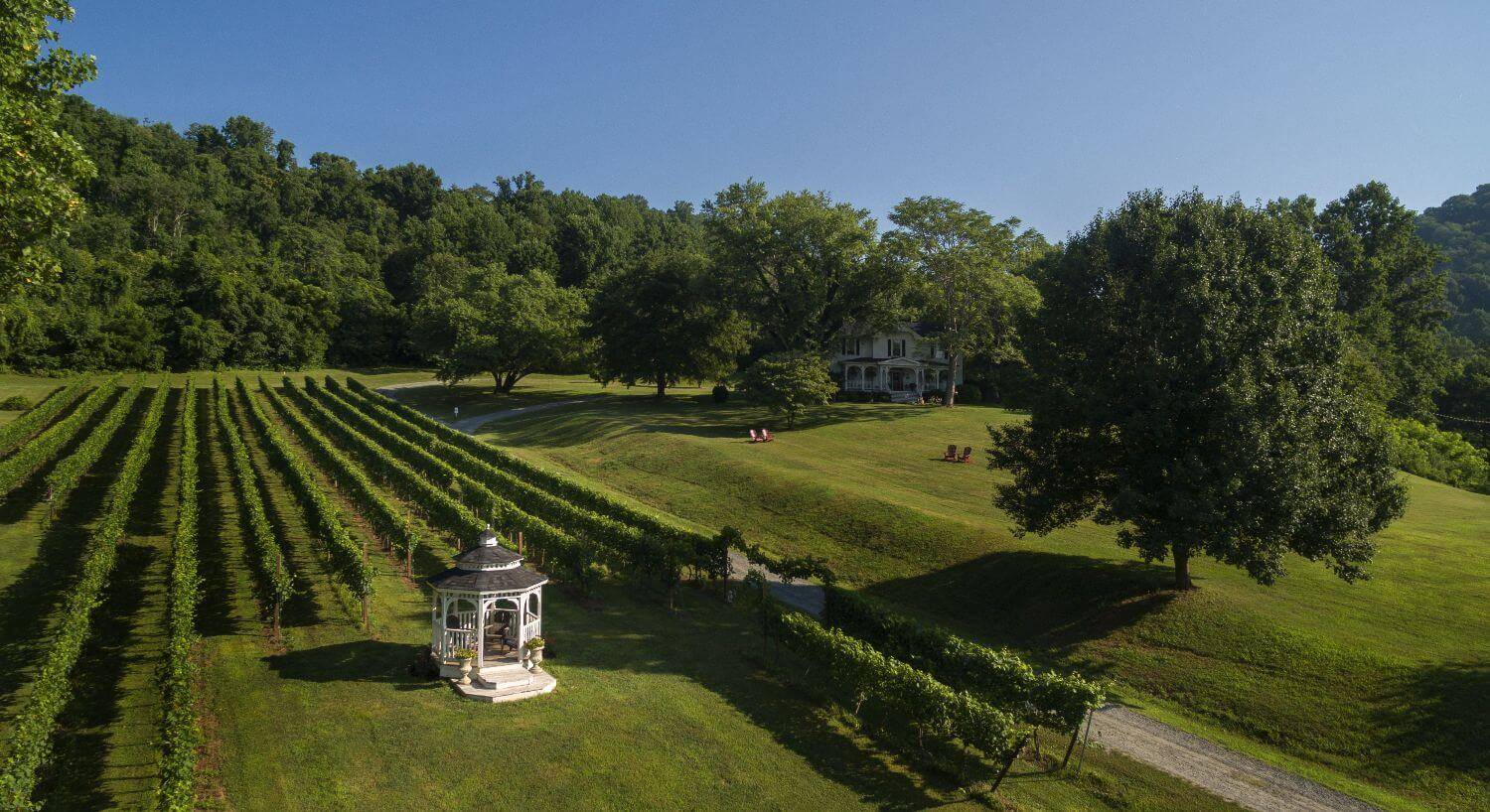 Overhead view of vineyards with a white gazebo in the middle