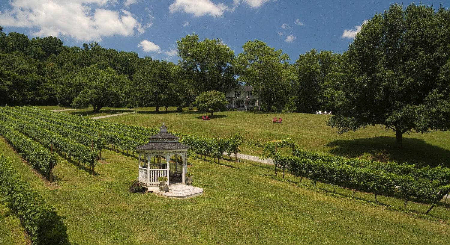 Overhead view of white gazebo leading to vineyards